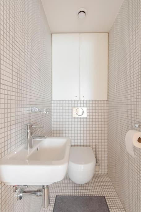 Apartment Loft Maiselova *