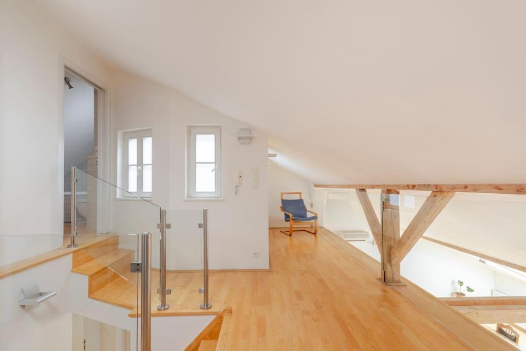 Apartment Loft Maiselova