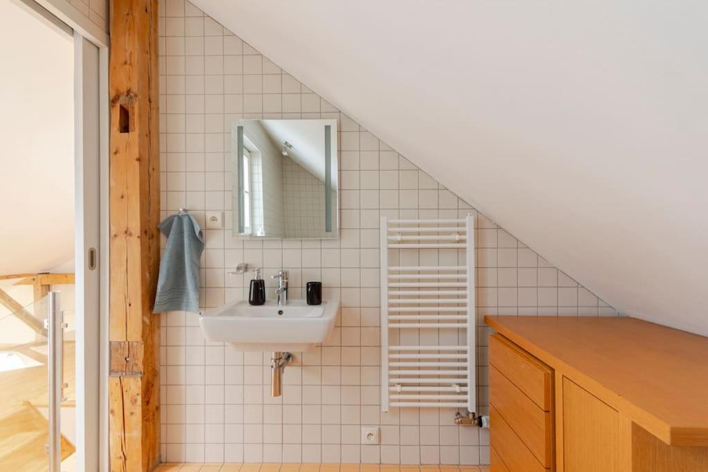 Apartment Loft Maiselova
