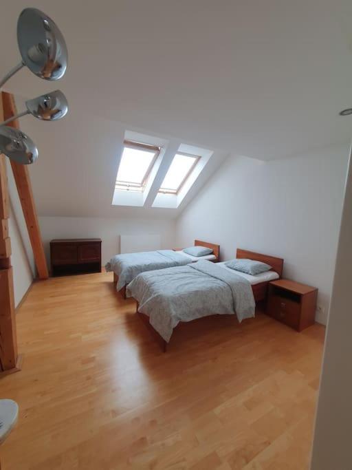 Loft Maiselova Apartment