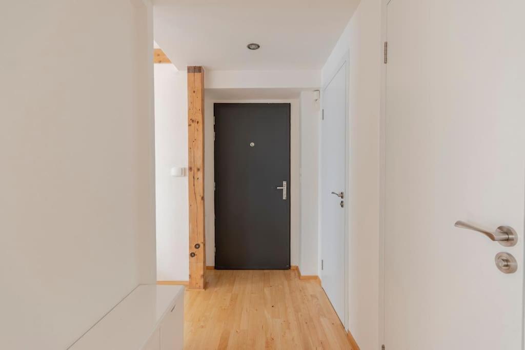 Apartment Loft Maiselova