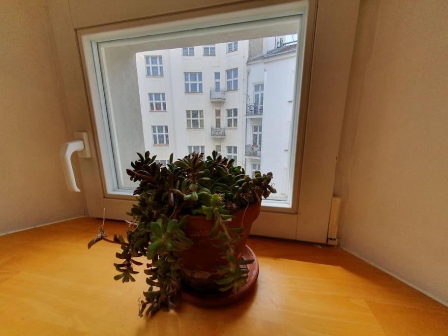 Loft Maiselova Apartment Prague