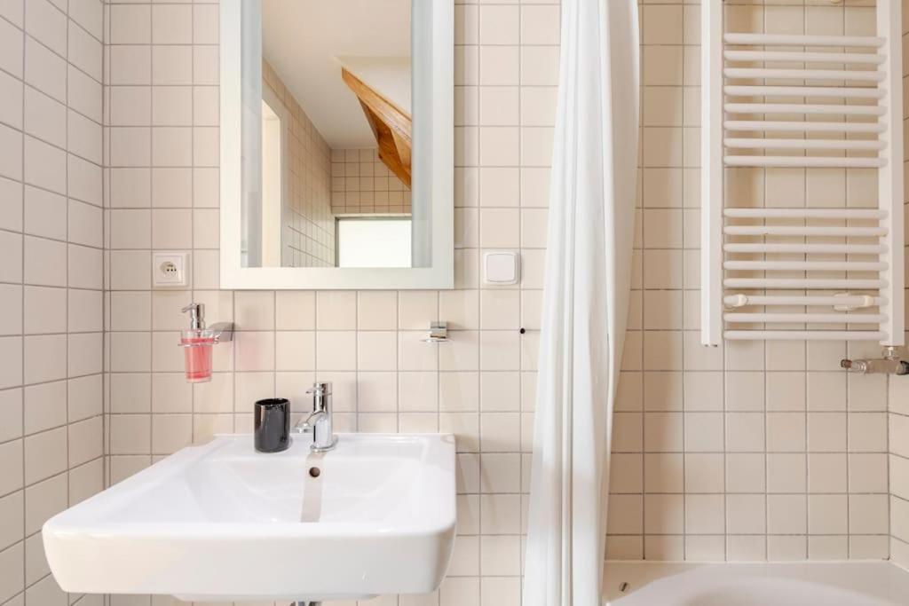 Apartment Loft Maiselova