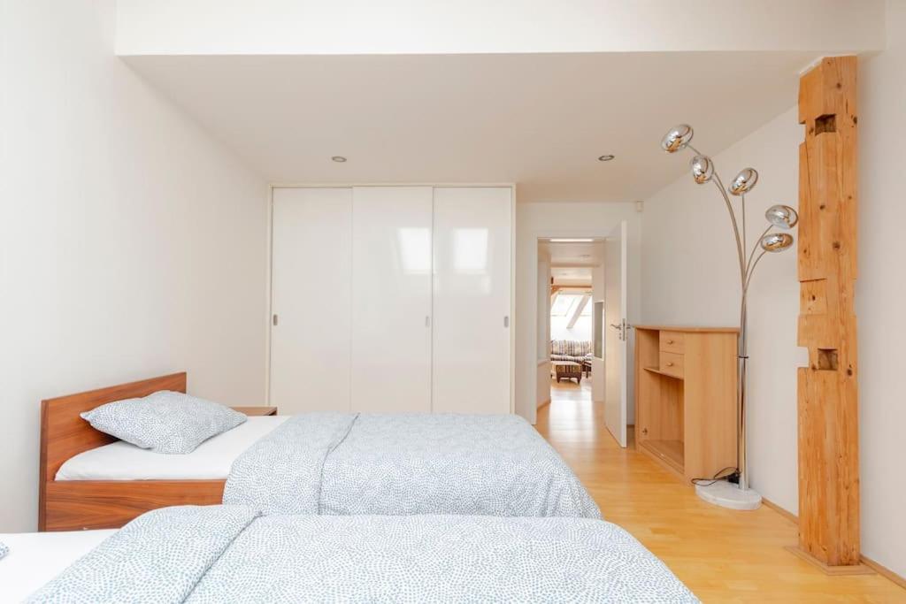 Apartment Loft Maiselova