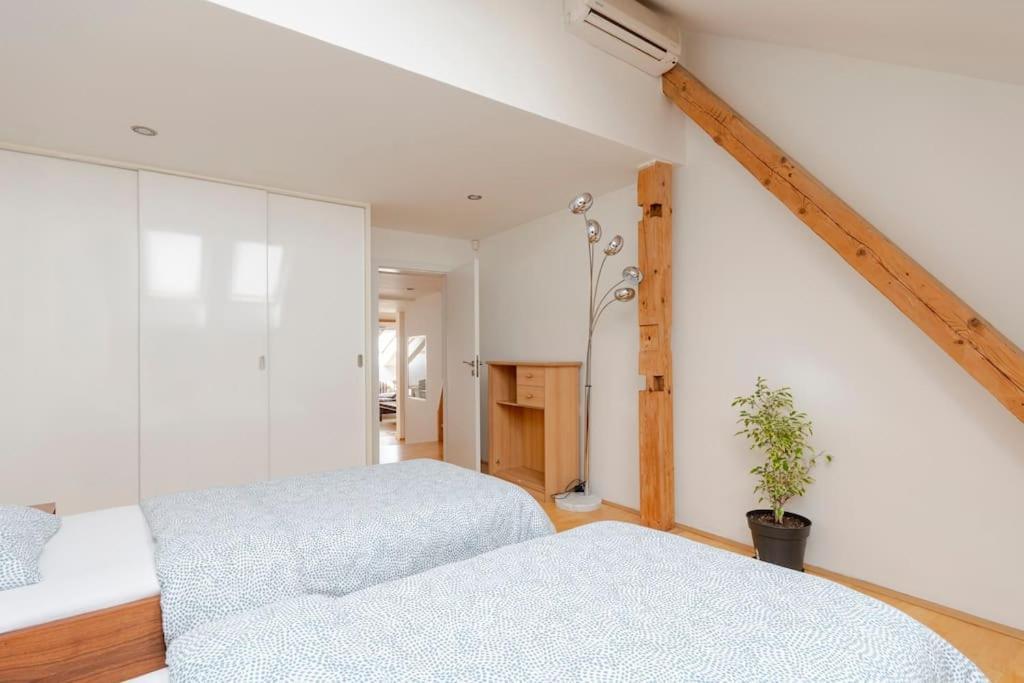 Apartment Loft Maiselova *